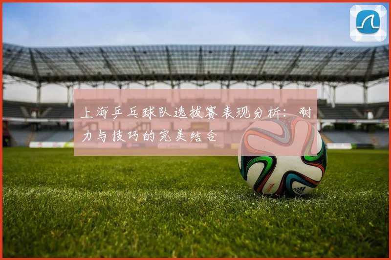 上海乒乓球队选拔赛表现分析：耐力与技巧的完美结合