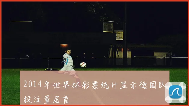 2014年世界杯彩票统计显示德国队投注量居首