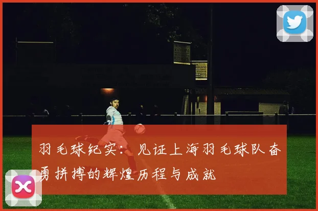 羽毛球纪实：见证上海羽毛球队奋勇拼搏的辉煌历程与成就