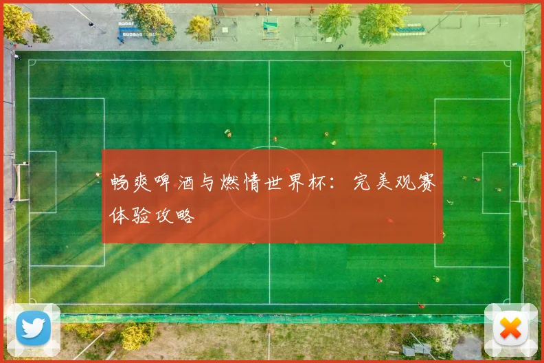 畅爽啤酒与燃情世界杯：完美观赛体验攻略
